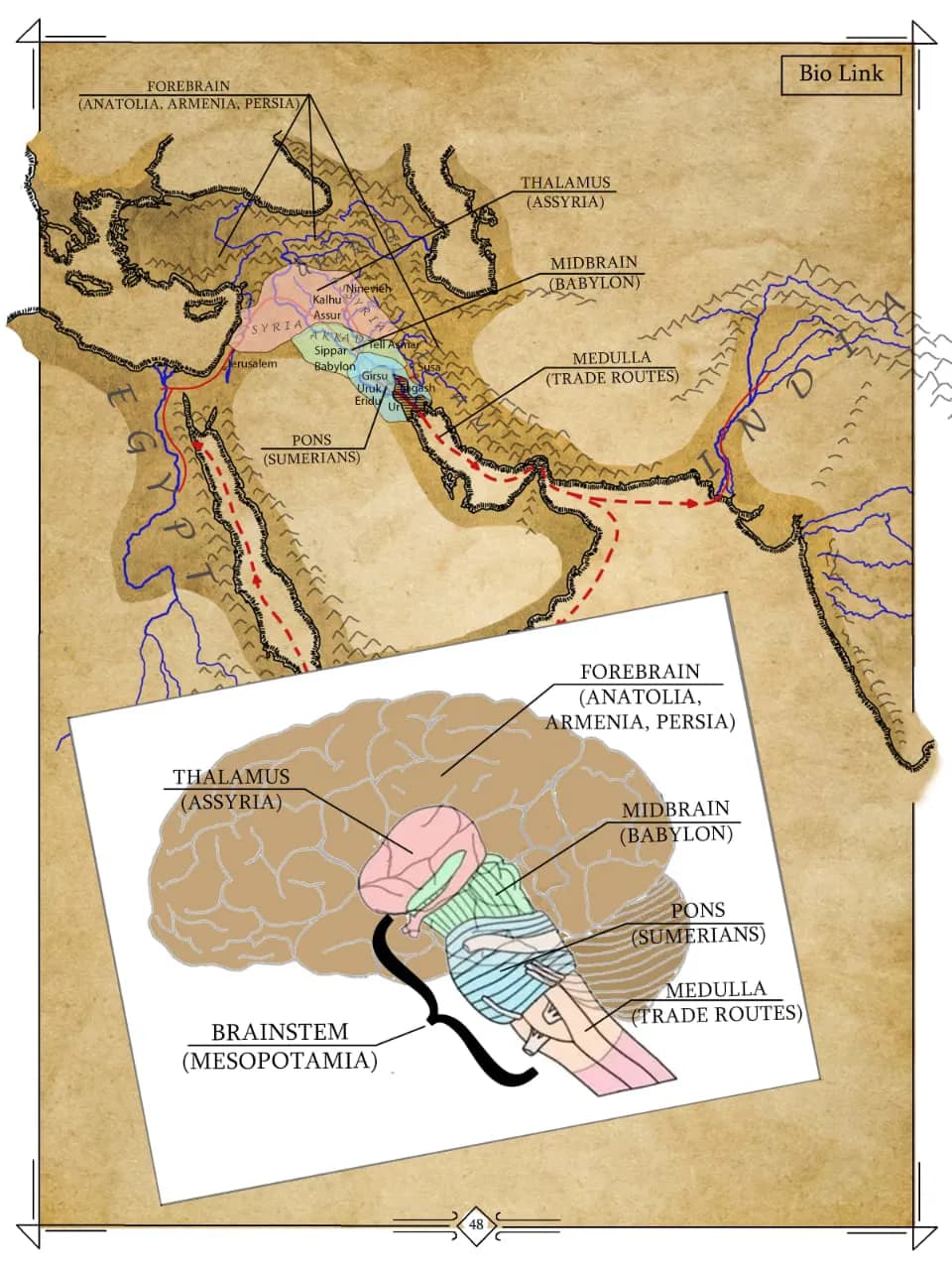 Why is this book special?